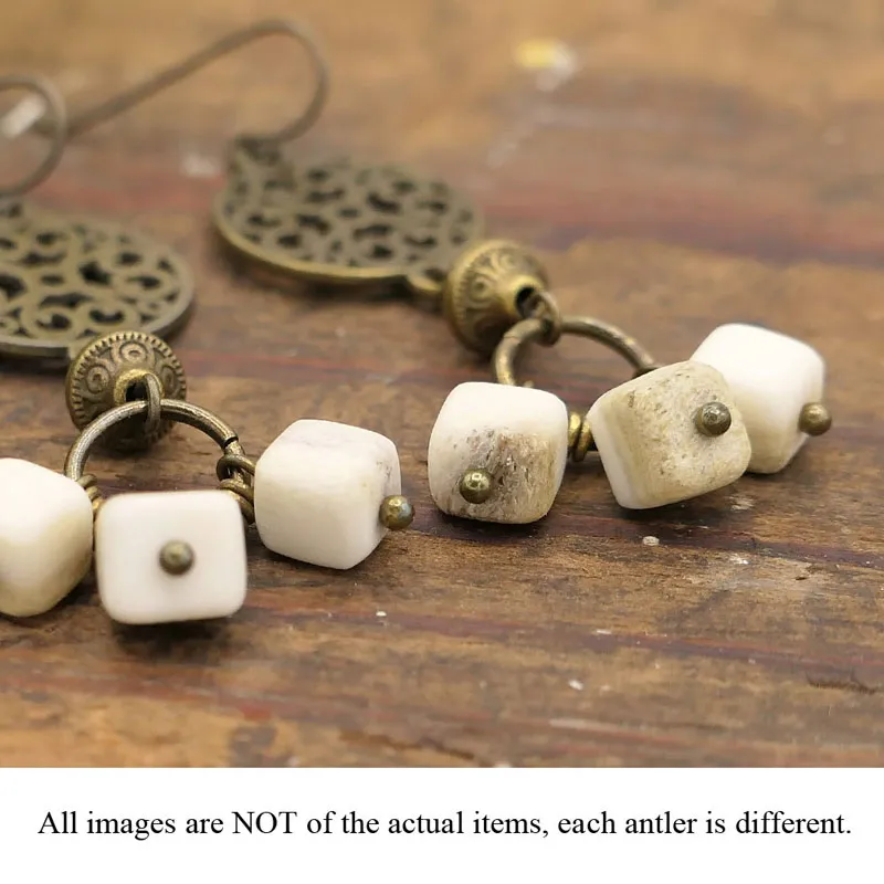 Antler Cube Filigree Disk Earrings