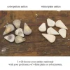 Teardrop Antler Gemstone Earrings