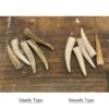 Antler Tip Leather Necklace