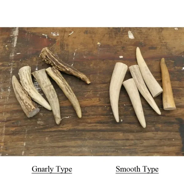 Antler Tip Leather Necklace
