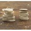 Antler Button Set – Small #28