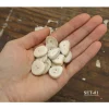 Antler Button Set – Small #28