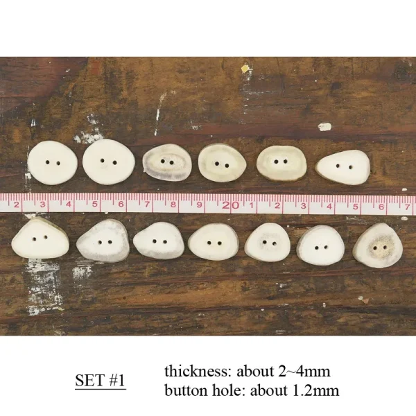 Antler Button Set – Small #28