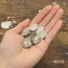 Antler Button Set - Small #29