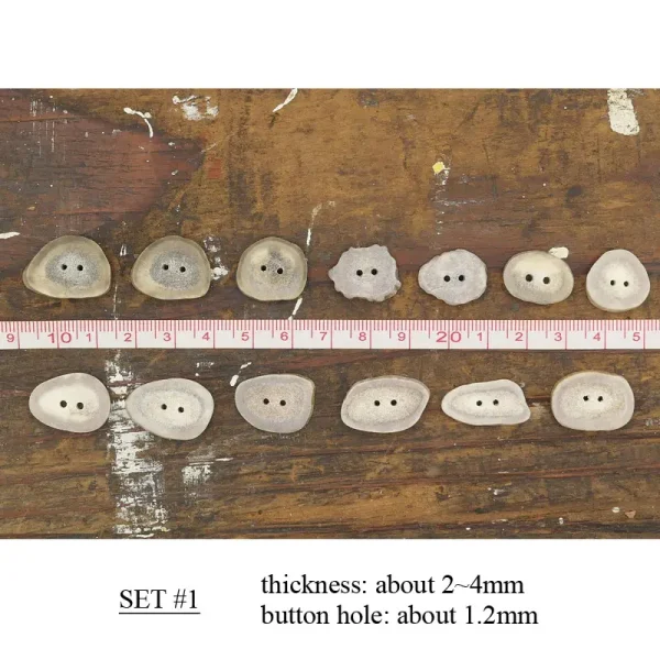 Antler Button Set - Small #29
