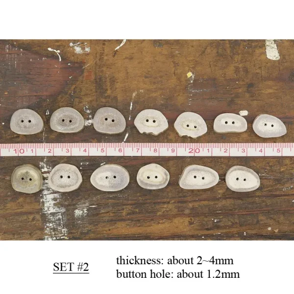 Antler Button Set - Small #29