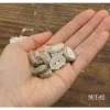 Antler Button Set - Small #29