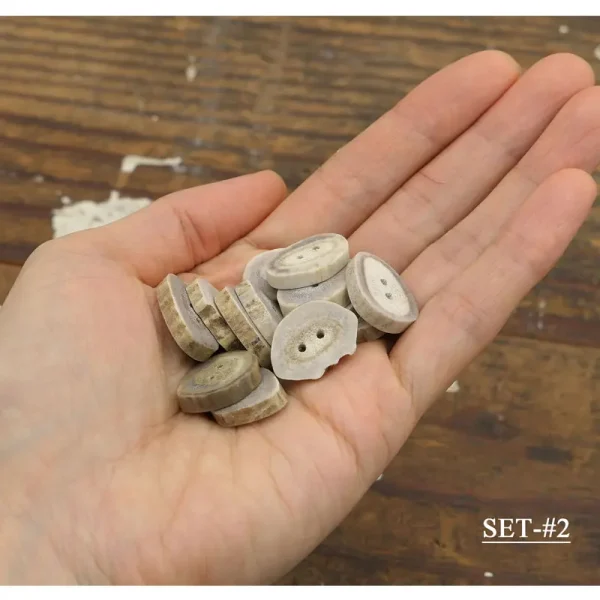 Antler Button Set - Small #29