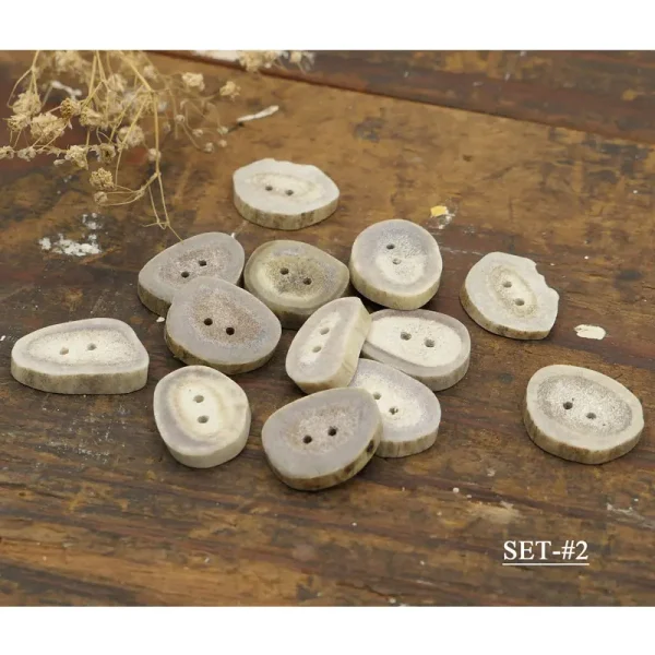 Antler Button Set - Small #29