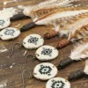 Real Feather Antler Long Earrings
