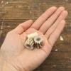 Antler Bead Dreadlock - Set of 3