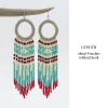 Hoop Seed Bead Fringe Earrings